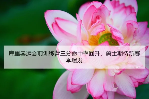库里奥运会前训练营三分命中率回升，勇士期待新赛季爆发