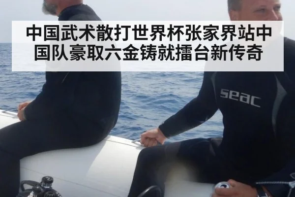中国武术散打世界杯张家界站中国队豪取六金铸就擂台新传奇