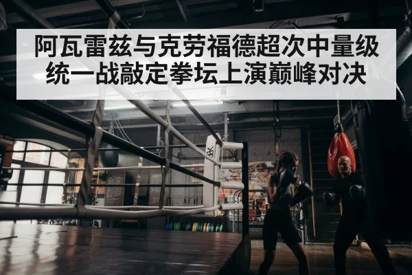 boxer training